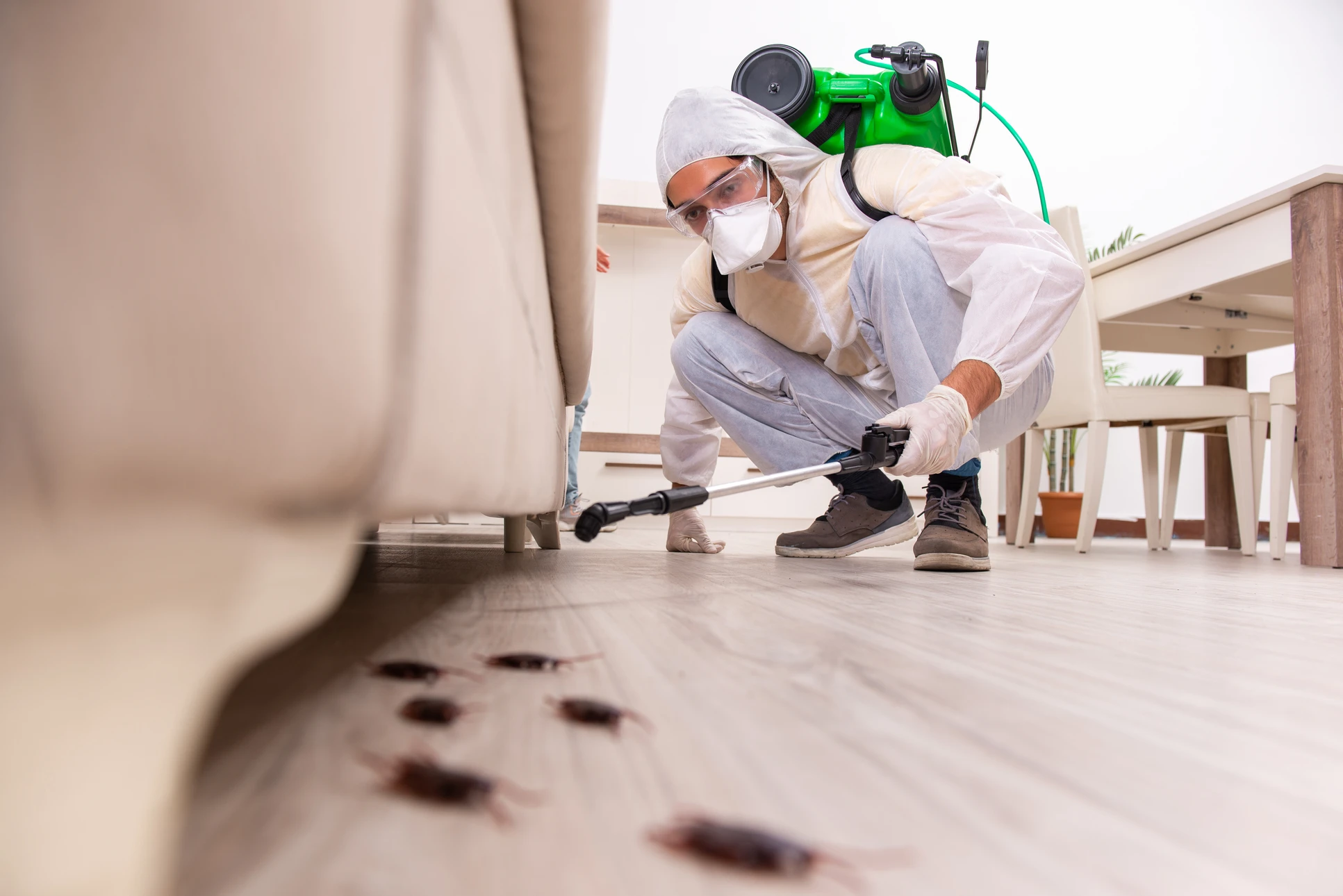 Professionnel en combinaison de protection intégrale blanche avec masque respiratoire effectuant un traitement antiparasitaire dans un intérieur résidentiel
